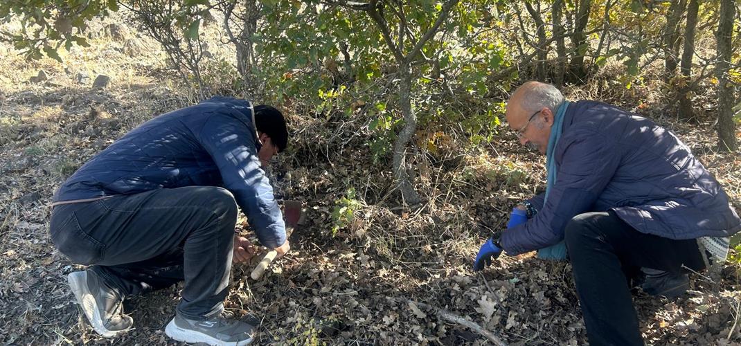 SÜNE MÜCADELESİ KIŞLAK ALANLARDA DEVAM EDİYOR